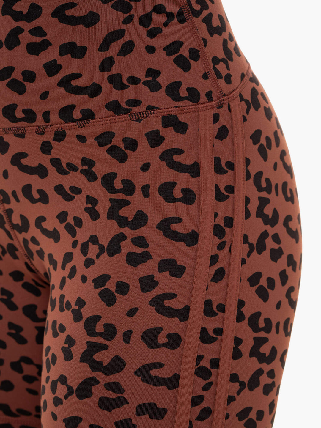 Evolution High Waisted Scrunch Shorts - Chocolate Leopard Clothing Ryderwear 